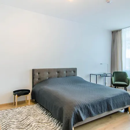 公寓 Lvovo Apartamentai 维尔纽斯