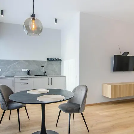 公寓 Lvovo Apartamentai 维尔纽斯